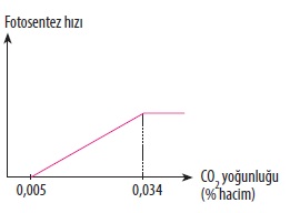 Fotosentez-h%C4%B1z%C4%B1na-etki-eden-karbondioksit-miktar%C4%B1.jpg